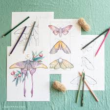 Some of the coloring page names are butterfly colour in mini canvas hobbycraft, top 50 butterfly coloring online, insect coloring best coloring for kids, 17 best images about butterfly on butterfly, butterflies. Elegant Moths Halloween Coloring Pages Lia Griffith