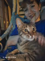 On the ferry from Yenikapi to Bursa at 10:00 this morning, a terrier dog  called Max was lost or stolen from the luggage section. where he was made  to travel by the