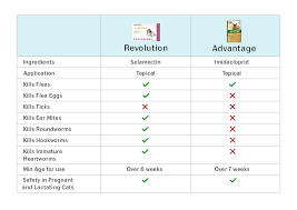 Revolution Vs Advantage Compare Cat Flea Treatments