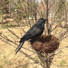 Bird feeders & birdbaths : Buy Artificial Realistic Woodland Birds For Garden Weding Home Decoration 16x20x7cm At Affordable Prices Free Shipping Real Reviews With Photos Joom