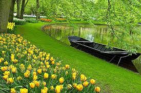 Oferim cazare decentă maxim 2 persoane în cameră locația amsterdam. 12 Excursii De O Zi De Top Din Amsterdam Europa