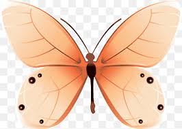 You can just turn off your adblocker to watch this amazing walkthrough. Butterfly Net Png Images Pngwing