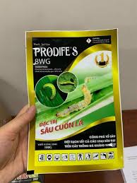 Prodife’s 8WG