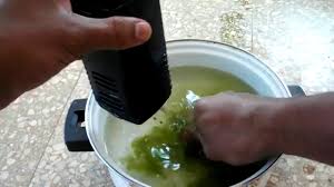 However, while gsa forms small distinguishable circles, the gda cover the and in terms of getting rid of staghorn algae, preventing it is a lot easier than removing it. Get Rid Of Green Algae In Your Tank Youtube