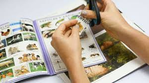 If you prefer diy projects, you can make a photo collage using photo prints. 3 Ways To Make A Collage Wikihow