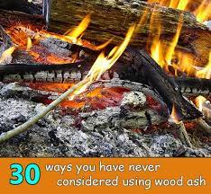 Odun Kulu Kullanmak Icin Hic Dusunmedim 30 Yolu Ev Ve Bahce Fikirleri Ash Wood Wood Survival Tips