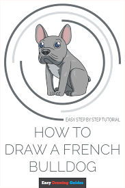 Draw two ears using the sides, then stretch curved lines from both sides till down step 7. How To Draw A French Bulldog Really Easy Drawing Tutorial