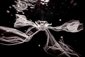 Maybe you would like to learn more about one of these? Breathtaking Underwater Photograhy By Tim Davis