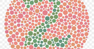 A difficulty perceiving green (deuteranomaly) and a difficulty perceiving red (protanomaly). Green Color Blindness Ishihara Test Red Color Vision Png 1200x630px Green Area Blue Brown Color Download