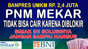 Executive vice president keuangan dan operasional pt pnm, sunar basuki menjelaskan, perkembangan bisnis pnm mekaar di kuartal iii 2020 ini dapat dikatakan sebagai kinerja puncak yang berhasil diraih oleh. Banpres Umkm 2 4 Juta Pnm Mekar Tidak Cair Karena Diblokir Youtube