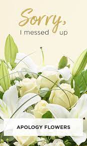 Check spelling or type a new query. Apology Flowers Flowers To Say Sorry Interflora