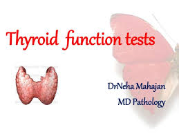 Image result for Thyroid Function Test