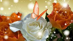 Light coming on the plains i. Hd Wallpaper Orange Rose On High Orange White Roses Spring Butterfly Glow Wallpaper Flare