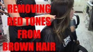 How to tone brassy / reddish brown hair. Pro Hair Colorist How To Eliminate Unwanted Red Tones In Brown Hair Color Youtube