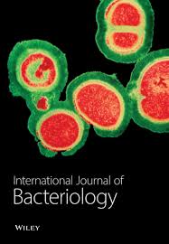 Image result for Cissus welwitschii