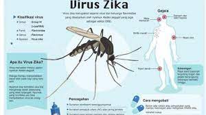 Kes demam denggi di terengganu membimbangkan. Peneliti Sebut Virus Zika Berkembang Di Jambi Ini Fakta Dan Cara Mencegahnya Tribun Jambi