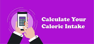 calorie intake calculator for