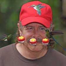 Just found this nest in our yard and not sure what kind of bird it could  be?