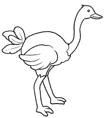 Avestruz Para Colorear 2021 Imagenes De Avestruces Para Pintar Estos son los dibujos de avestruz para colorear mas descargados en internet de avestruz. dibujos para colorear e imprimir online