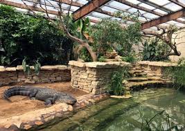 A La Reserve Africaine De Sigean La Nouvelle Maison Des Alligators Ouvre Pour La Toussaint Mascotas Casas Modernas Casas