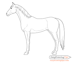 This will be done in a tutorial drawing format. How To Draw A Horse From The Side View Tutorial Easydrawingtips Draw A Horse Horse Drawings Horse Head Drawing