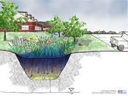 A rain garden is a depressed area in the landscape that collects water from roof downspouts, asphalt or sump pump discharge and allows it to soak determine size and shape your local extension office may have information to help you size a rain garden to suit rainfall patterns typical in your area. Rain Gardens Fridley Mn Official Website