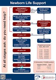 Newborn Resuscitation Litfl Ccc Resuscitation