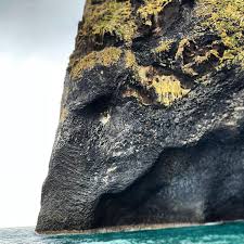 Devon Dewey (@dewey_drone) • Instagram photos and videos