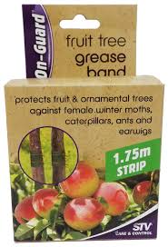 Simply secure the band around the trunk of any tree, using the twine provided and an instant sticky barrier will trap any insect that crawls onto it. On Guard Fruit Tree Grease Band 1 75m Strip Hendra Hardware