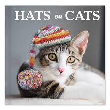 In 2008 she launched knithacker, a lively blog and knitting community which has since grown to be a popular presence in contemporary knitting culture, reaching more than a million readers each year. Hats On Cats Hardcover Target