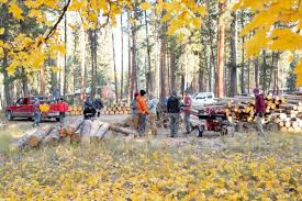 Volunteer — Swan Valley Connections