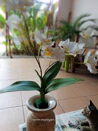 Florea tu hogar con estas pequeñas joyas contemporáneas. Jom Menggubah Bunga Orkid