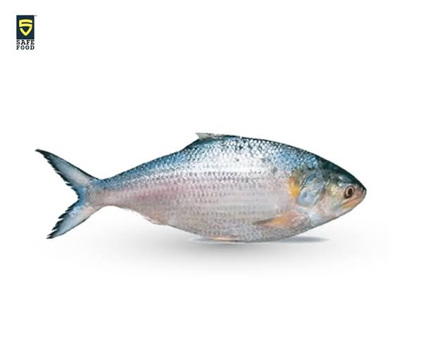 ইলিশ মাছ 1 PCS 1KG