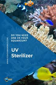 How To Choose An Aquarium Uv Sterilizer The 6 Best Of 2019 Reviewed Fish Care Aquarium Sterile