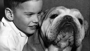 RetroIndy: Pets we love