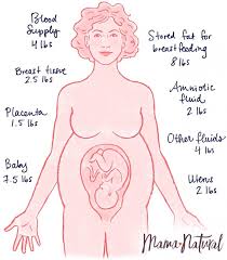 And don't forget that alcohol also has a ton of. The Truth About Pregnancy Weight Gain Mama Natural