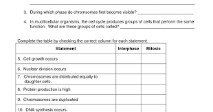 Mitosis Worksheet Biology Worksheet Mitosis Cell Cycle