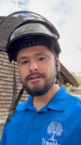 Olives are done. 2.5 hrs. Do you think we should have used the bucket truck?