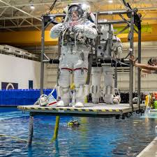 hande erçel kiss - Build your hande ercel porno.