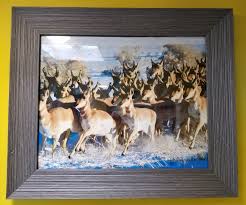 TNL Event Trailer Completed!!!