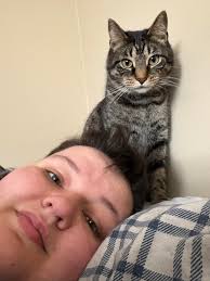 Have you seen my lost cat Jose in London, KY?