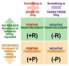 Operant Conditioning Worksheet Operant Conditioning Ap Psychology Training Tips