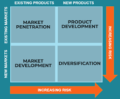 ansoff matrix overview strategies and practical examples