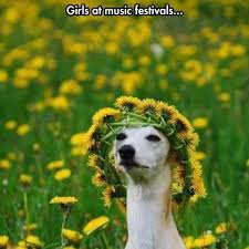 Check spelling or type a new query. Blossoming Gifts On Twitter Flower Memes Flower Memes Flowermemes Funny Jokes Flowers Meme Blog Blogpost Https T Co K3gbeaxrey