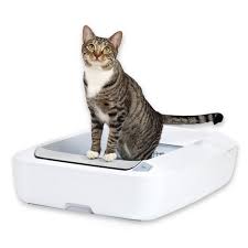 Self Cleaning Litter Box
