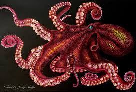 Octopus 2 By Jennifer S Octopus Drawing Octopus Colors Star Wars Illustration