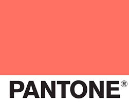 Pantone S 2019 Color Of The Year Living Coral Pantone Pantone Live Coral Color