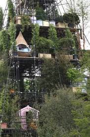 33 Chelsea Flower Show ideas