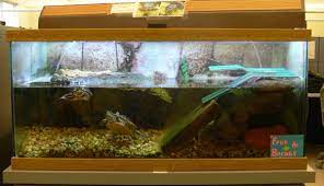 40 gallon terrarium (36″ x 18″ x 18″) with sliding screen top. Very Cool Turtle Tank Found On Google Search Turtle Habitat Pet Turtle Turtle Tank