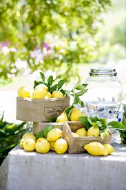 Fresh Lemonade Station Lemon Table Decor Lemonade Decor Fresh Lemonade